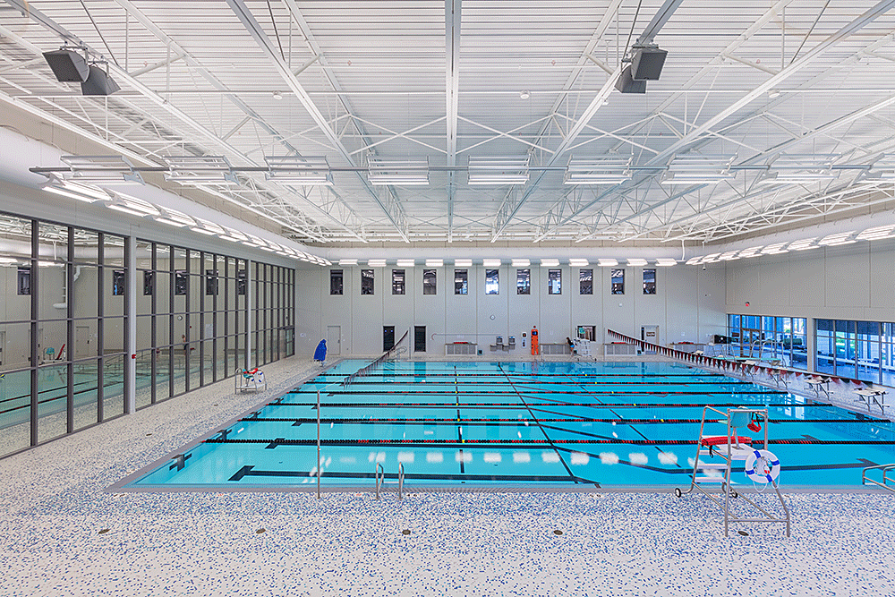 lap pool